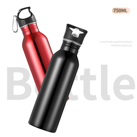 750ml Sports Outdoor Straw Water Bottle 304 Stainless steel Portable Handle Lid Water Bottle With Mountaineering Buckle Kettle